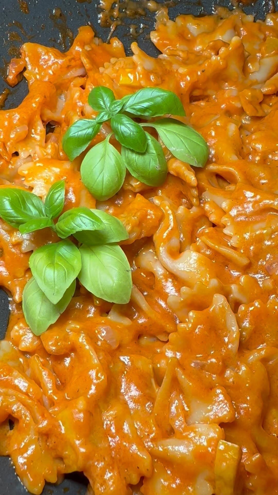 Zucchini-Tomaten-Sahne-Soße mit Farfalle